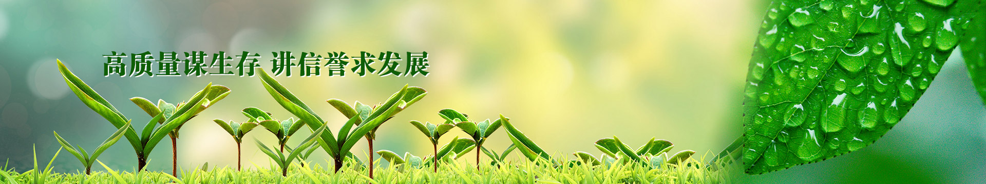 海报