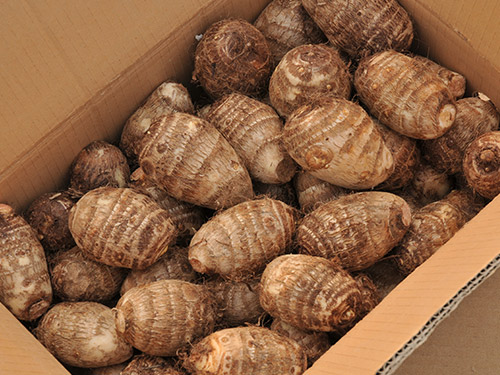 Fresh Taro