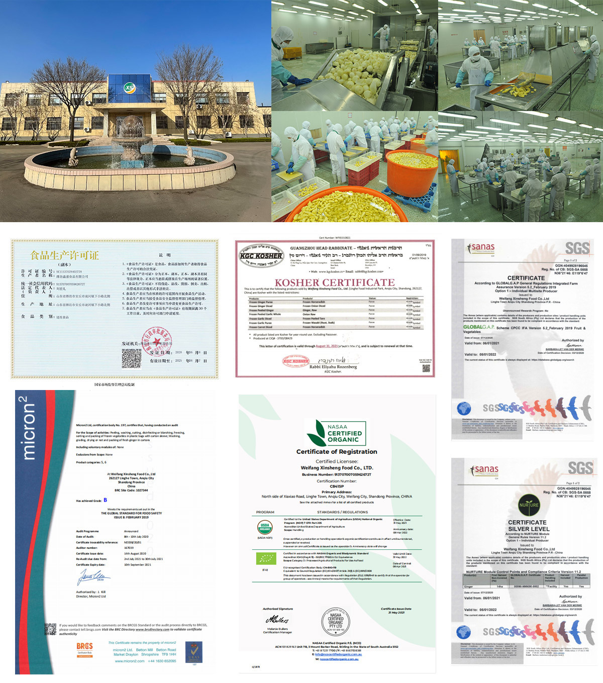 凌河镇图册_360百科